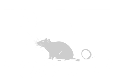 RatLocker logo – lockable, vandal‑proof rat trap box